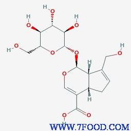 高品質(zhì)京尼平苷酸供應(yīng)信息及實(shí)驗(yàn)室試劑耗材推薦